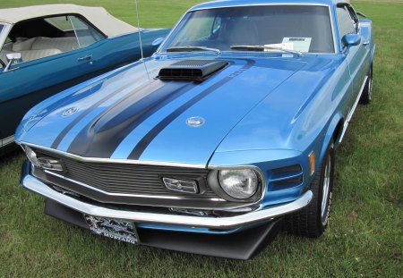 1970 Ford Mustang Mach 1 - photography, ford, black, headlights, mustang, blue, tire, green, grass