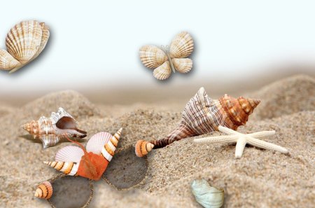 Sea Shells by the Sea - seashells, beach, sky, sun glasses, shells, summer, shore, sand dollar, butterfly, star fish, sea shells, sand