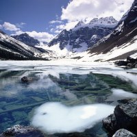 Consolation Lake, Banff National Park, Alberta, Canada