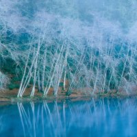 Lake Cresent in Winter, Olympic National Park