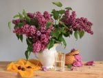 Still Life with Lilacs