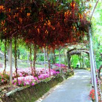 Flower tunnel