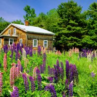 Beautiful country house