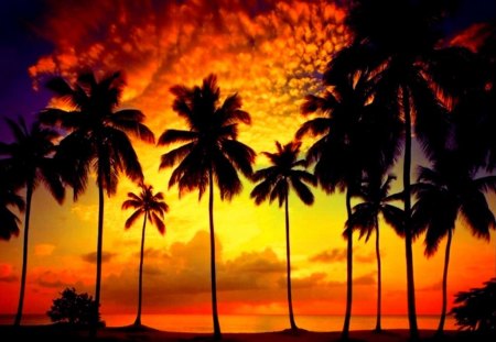 Sunset dream - sundown, island, sunrise, dream, fire, red, exotic, palm trees, sky, clouds, palms, beautiful, orange, tropics, glow, nature, sunset, tropical, fiery