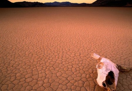 Desert - desert, hot, sand, time