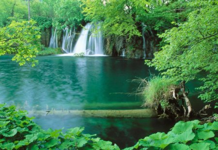 Plitvice National Park, Croatia - trees, waterfalls, water, blue, log, falls, forest, daylight, nature, lake, day