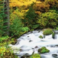 Willamette National Forest, Oregon in Autumn