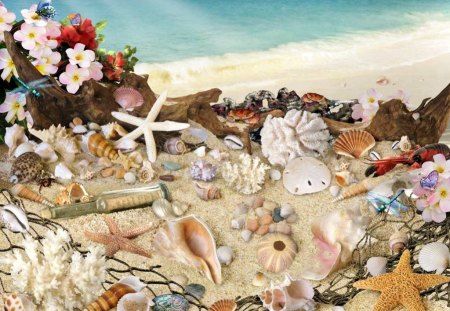 SEASHELLS ON THE SEASHORE - bottle, coast, shoreline, beach, sea, ocean, sand, starfish, shells, treasure