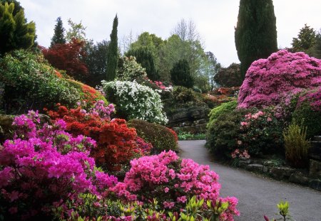 beautiful flowers garden - flowers, beautiful, garden, nature