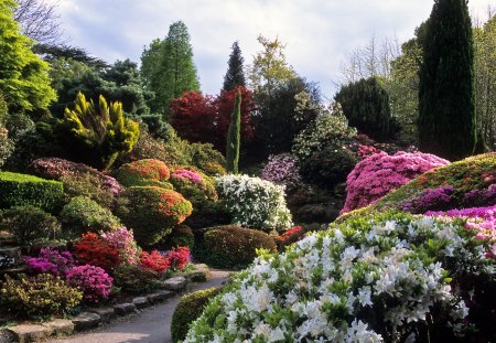 flowers garden path - nature, flowers, garden, path