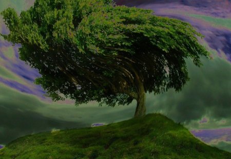 swirl tree - art, abstract, fantasy, 3d and cg