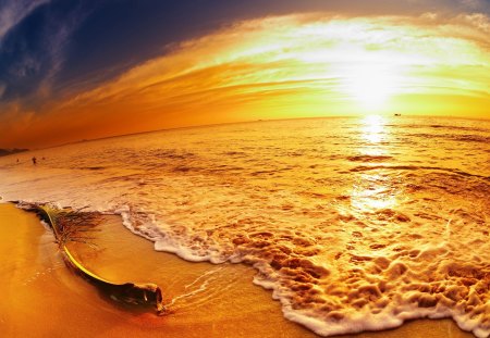 Lovely Sunset - heaven, amazing, beach, splendor, sunrise, seaside, reflection, sand, sunrays, surf, view, ocean waves, sky, sun, clouds, sunlight, branch, men, beautiful, sea, beauty, lovely, ocean, nature, sunset, rays, waves, peaceful