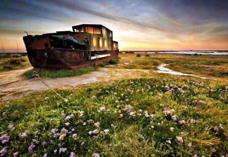 Abandoned Ship - beauty, sky, peaceful, ships, colorful, sunset, view, abandoned ship, clouds, green, abandoned, grass, boat, ocean, boats, lovely, nature, ship, beautiful, splendor, flowers, colors, sunrise, sea