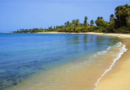 Along the Beach - ocean, beach, sky, trees, daylight, day, water, nature, forest, tan, blue, tide, sand