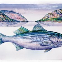 HUDSON RIVER BASS