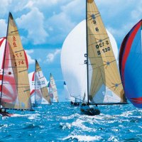 SAILBOATS ON THE BLUE WATERS