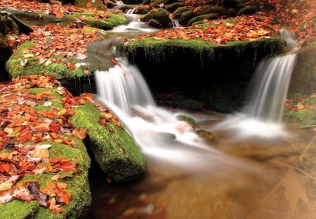 October Stream - season, autumn, falling, falls, stream, brook, rocks, creek, fall, water falls, river, leaves, pool, chill