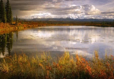 LAGO  CALMO - agua, arvores, natureza, lago