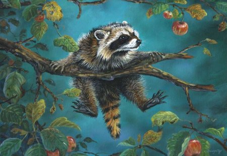 EYE ON THE PRIZE - lunch, animals, apples, fruit, hd, painting, abstract, raccoon, tree