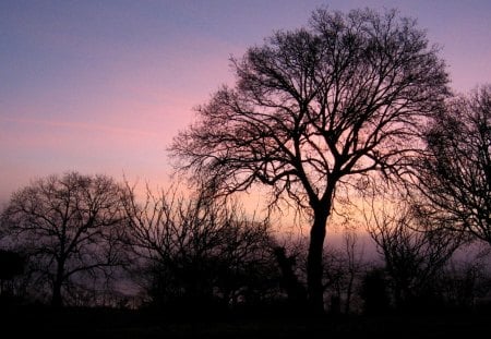 An early winter morning - mysterious, great, bretagne, france, picture, photography, field, fairy, myst, sunset, wonderful, cloud, purple, winter, cool, landscape, awesome, dark, country, serenity, peaceful, clouds, fields, mystic, romantic, color, colors, other, dawn, aurore, forest, black, beautiful, shape, holidays, hot, amazing, ocean, morning, light, tree, nature, mist, colorful, dreamy, beauty, sun, sky, calming, sunrays, morning mist, nice, colored, orange, twilight, trees, sea, sunrise