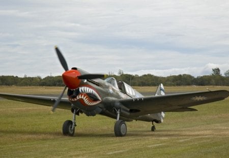 kittyhawk ap-40