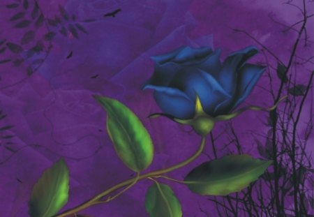 Melanie for your pc.. ;-) - purple, dark, blue, rose, flower