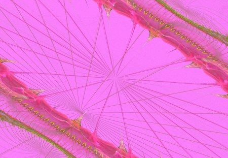 Infinity Pink Pink - abstract, infinity, art, 2d, pink, fractal