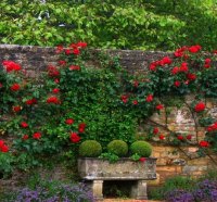 Scene from a Private Garden