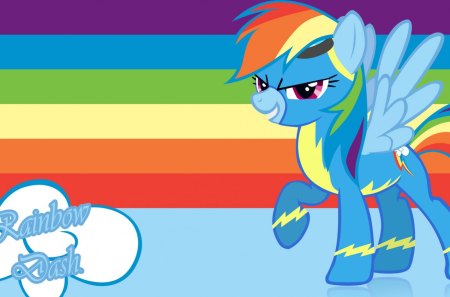 rainbow dash - pony, fim, mlp, rainbow dash