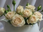 white roses