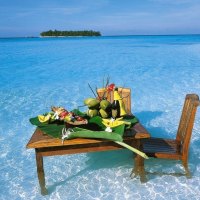 Breakfast in the ocean