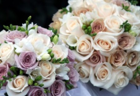 Lovely bouquets - flowers, roses, purple, cute, lovely, bouquets, sweet