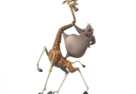 Melman Gloria - gloria, melman, madagascar, animal