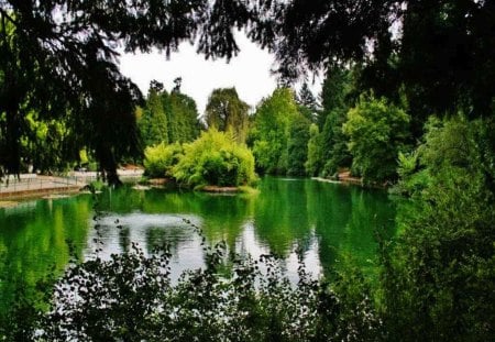 Laurelhurst Park - Portland, OR - northwest, beauty, nature, lake, pacific, park, green, oregon