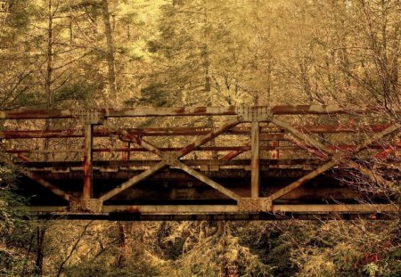 a bridge in the forest - nature, autumn, fall, trees, photography, architecture, manmade, bridge