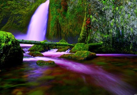 Amazing waterfalls - nature, landscape, trees, pink, water, waterfalls, plants