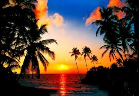 Tropical sundown - summer, sundown, sunrise, reflection, exotic, palm trees, sky, sun, clouds, palms, water, beautiful, sea, ocean, tropics, nature, sunset, tropical