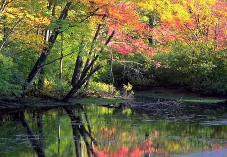 Autumn - lake, nature, autumn, other