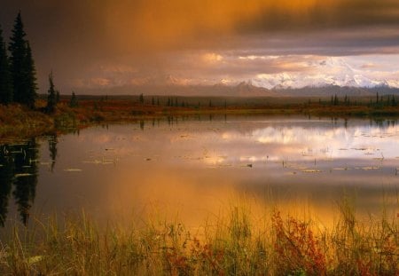 Sunset Lake - water, grass, lake, sky, reflection, clouds, trees, sunset, nature, green