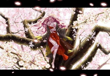 Megurine Luka - pretty, artistic, pink, luka, stunning, big breasts, nice, sunlight, program, cherry blossom, hot, thighhighs, megurine, sunshine, beauty, virtual, petals, cg, white, cherry blossom tree, megurine luka, cute, aqua eyes, song, sexy, vocaloid, anime, blue, amazing, dress, cleavage, music, big boobs, ecchi, pink hair, art, sitting, sun, idol, anime girl, sakura, beautiful, singer, girl, cool, black, sakura tree, awesome, diva, digital, thigh highs, vocaloids