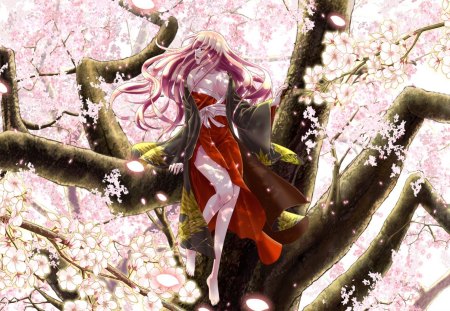 Luka and Sakura Tree - volc, anime, classic, girl, beauty, luka