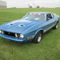 1973 Ford Mustang at the car show