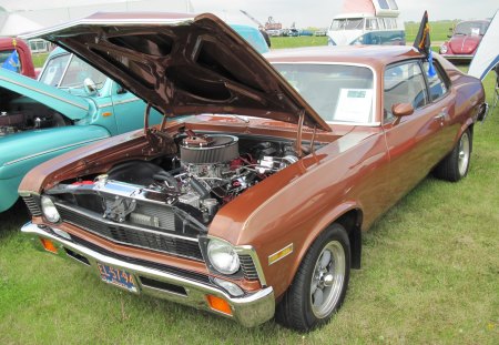 1974 Chevrolet Nova  - headlights, silver, black, grass, brown, tire, chevrolet, nickel, car, engine, photography, green