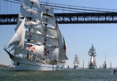 Tallships under Bridge - water, bridge, ocean, sky, architecture, sails, boats, day, sailboat