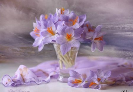 Beautiful Still life - flowers, petals, still life, purple