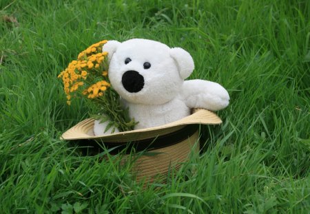 Teddy - grass, teddy, bear, flower