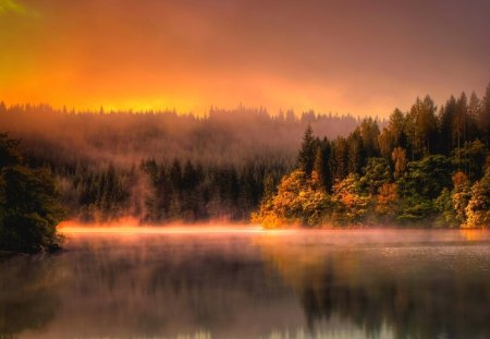 Scotlands lakes - lake, sun, magic, water, nature, forest, beautiful, fog, colors, scotland