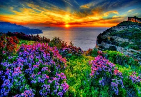 Lake sunset - sky, sundown, water, colorful, sunset, mirrored, coast, reflection, clouds, lake, summer, shore, bushes, nature, beautiful, flowers, sunrise