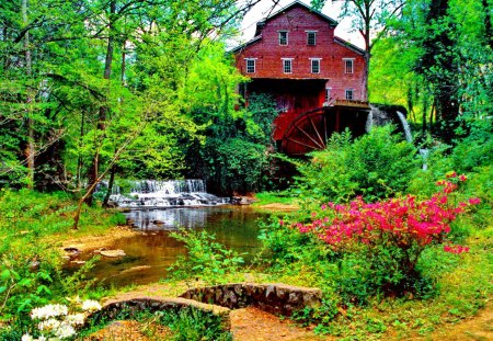 Mill in green forest - falling, peaceful, stream, water, summer, place, mill, lovely, nature, fall, forest, beautiful, green, flowers, grass, water mill