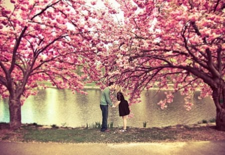 Kiss of life - nature, kiss, pink, tree, life